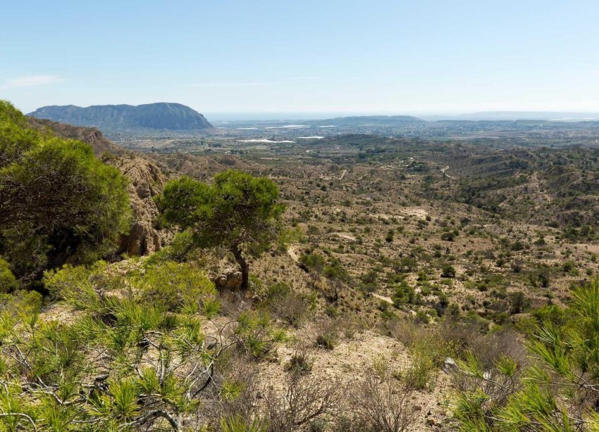 Rynek Pierwotny - Willa - Aspe - Centro