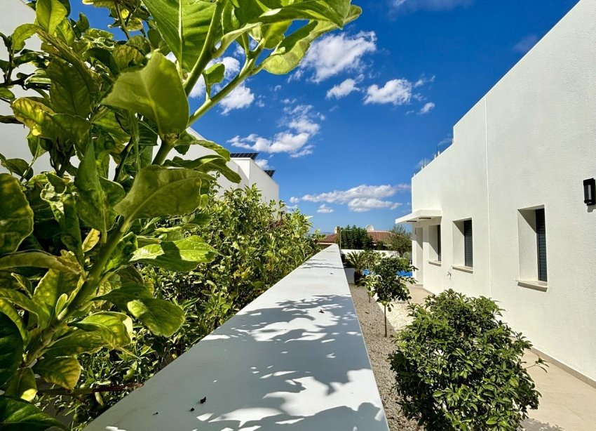 Rynek Pierwotny - Willa - Benijofar