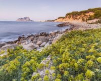 Rynek Pierwotny - Willa - Benissa - Racó Del Galeno