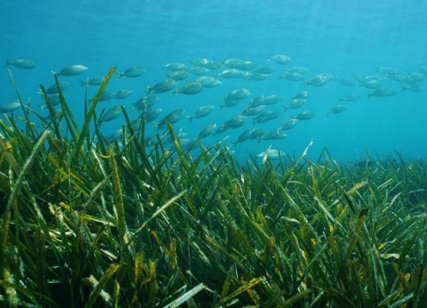 Rynek Pierwotny - Willa - Benissa - Racó Del Galeno