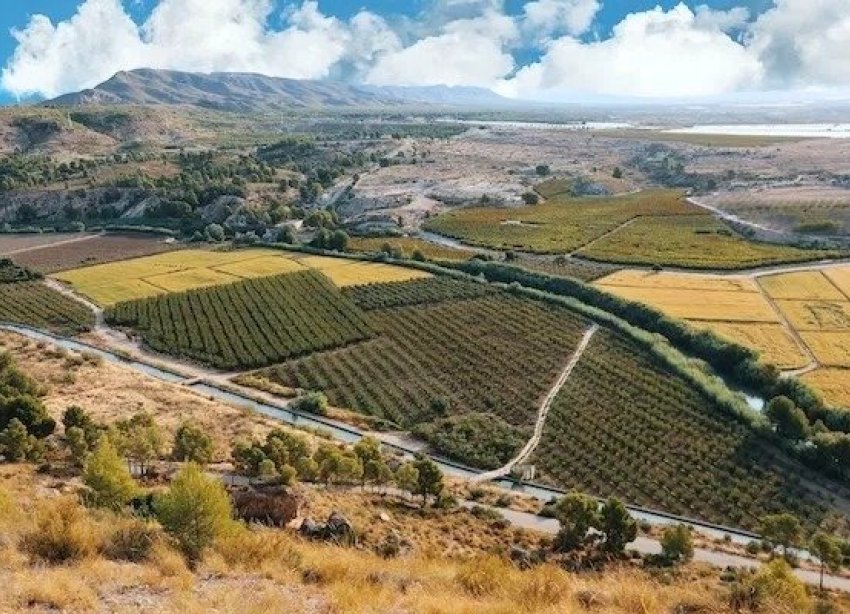 Rynek Pierwotny - Willa - Calasparra