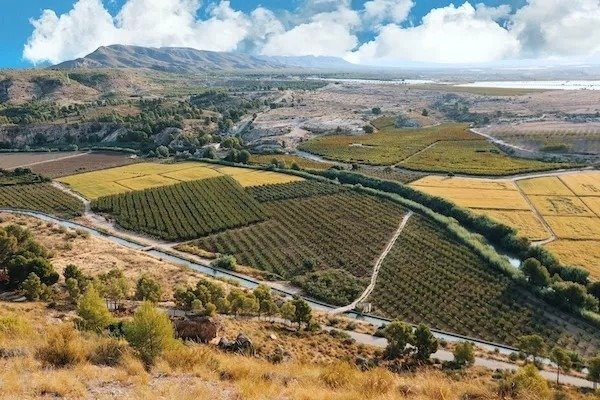 Rynek Pierwotny - Willa - Calasparra