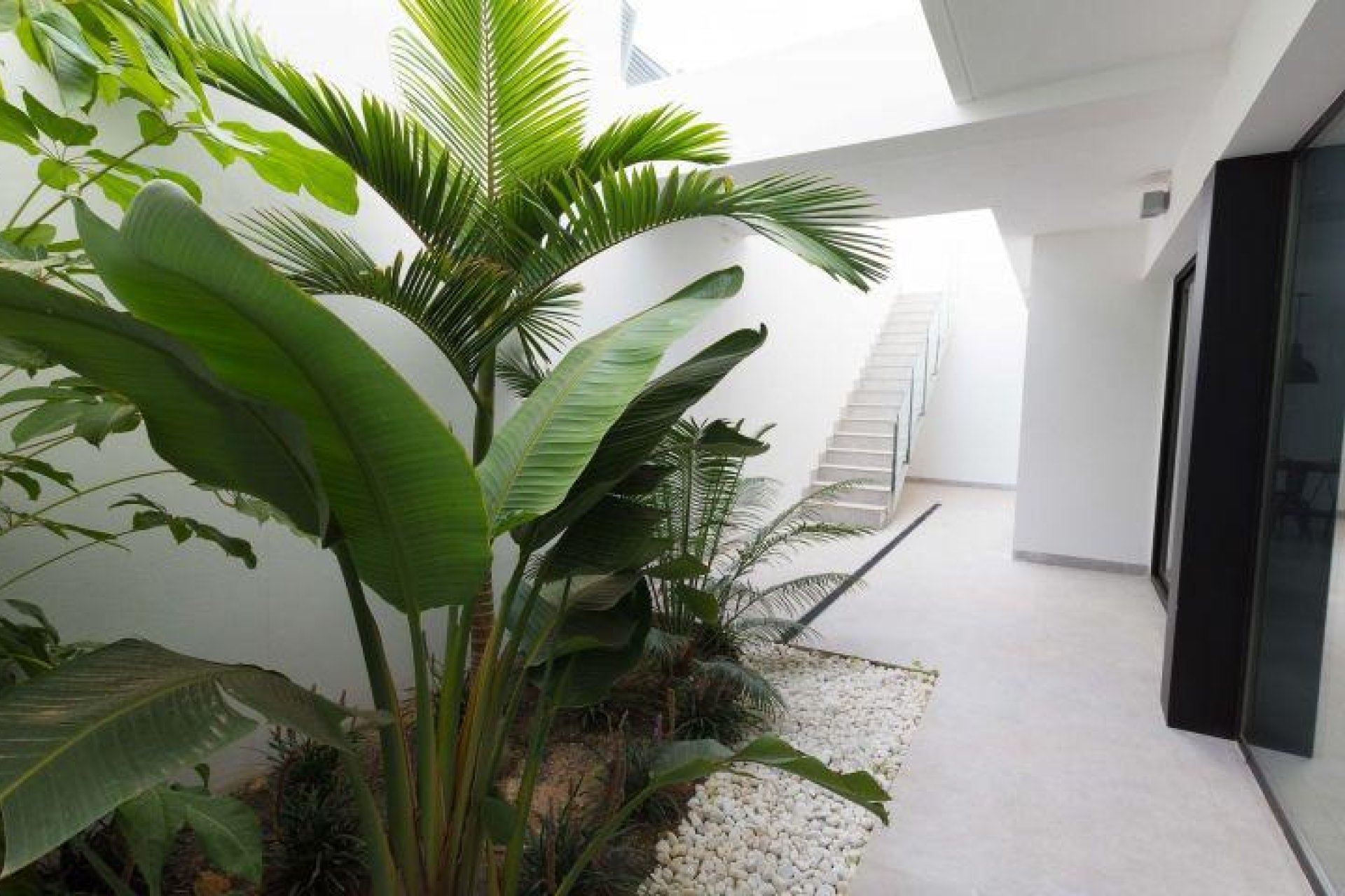 Rynek Pierwotny - Willa - Finestrat - Campana Garden