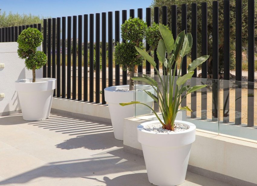 Rynek Pierwotny - Willa - Guardamar del Segura - Guardamar Del Segura