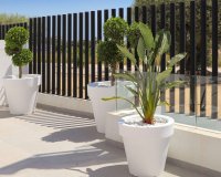 Rynek Pierwotny - Willa - Guardamar del Segura - Guardamar Del Segura