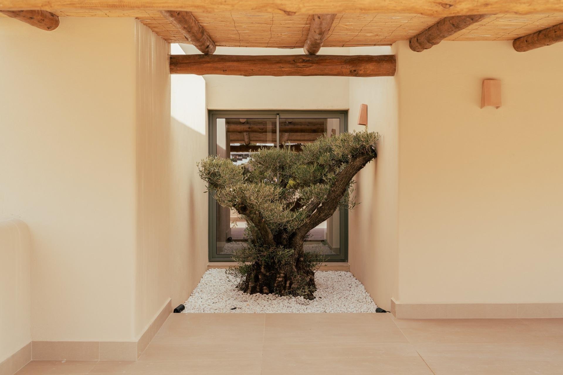 Rynek Pierwotny - Willa - Jávea - Valle del Sol