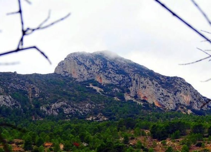 Rynek Pierwotny - Willa - La Romana - Batistes
