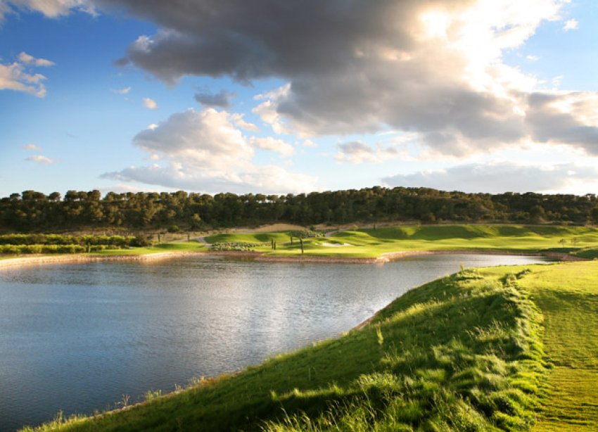 Rynek Pierwotny - Willa - Las Colinas - Las Colinas Golf