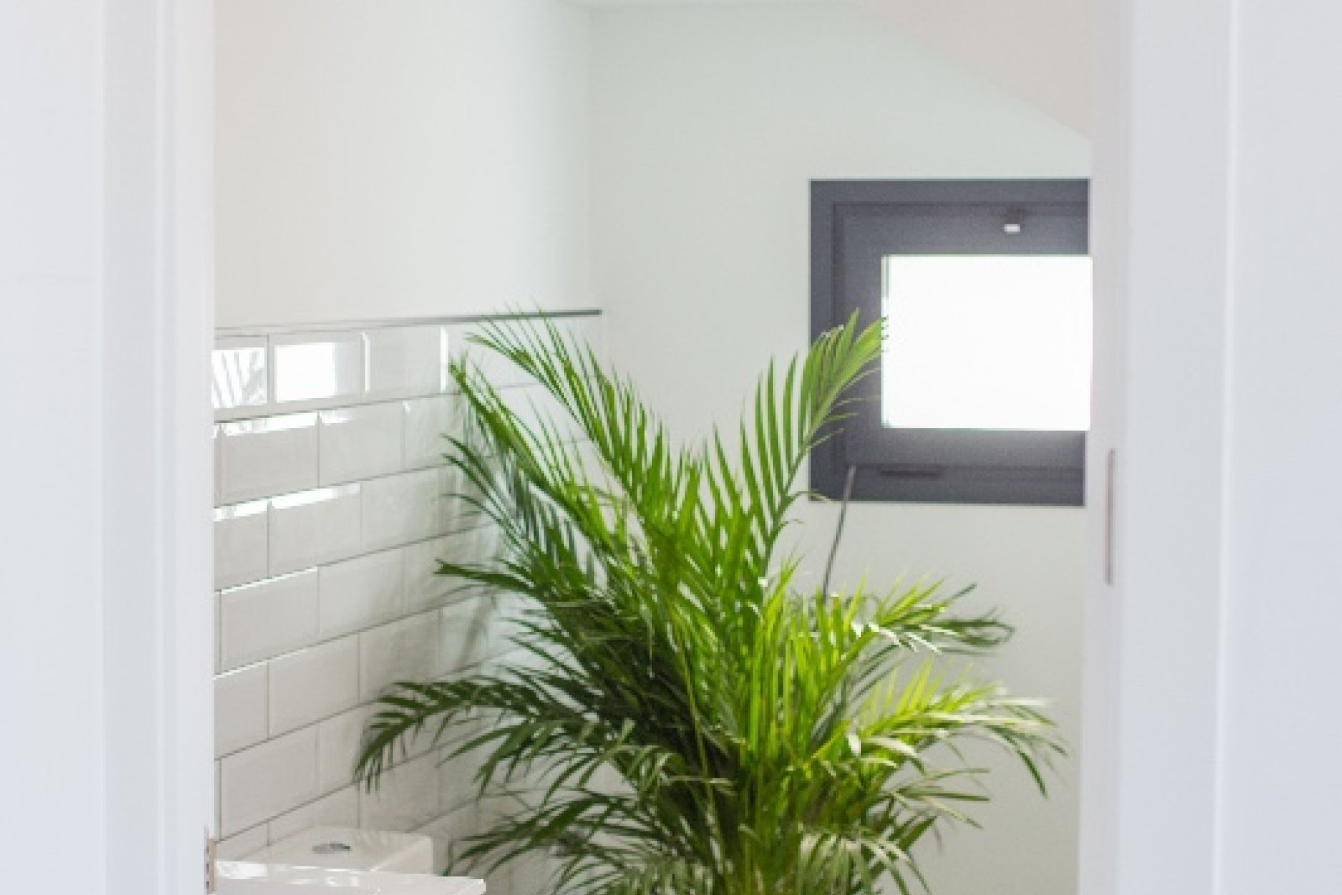 Rynek Pierwotny - Willa - Los Montesinos - La Herada