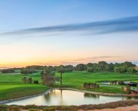 Rynek Pierwotny - Willa - Pilar de la Horadada