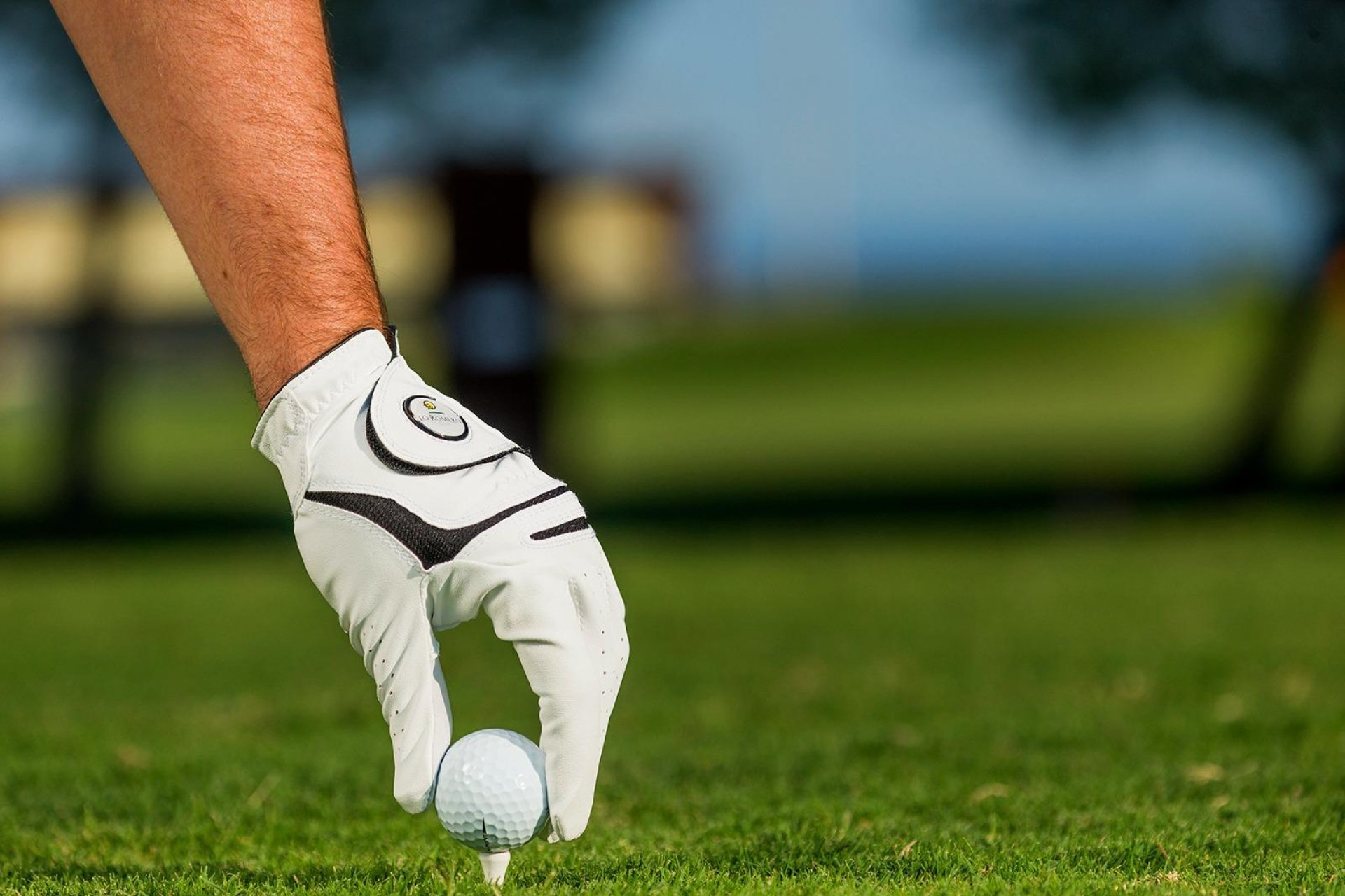 Rynek Pierwotny - Willa - Pilar de la Horadada