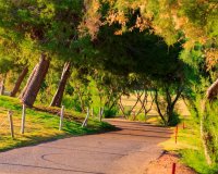 Rynek Pierwotny - Willa - Pilar de la Horadada