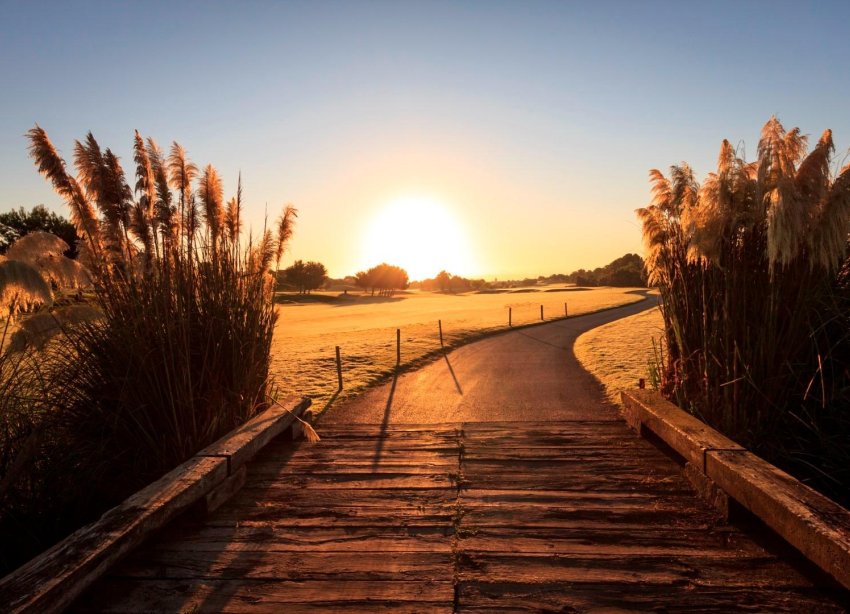 Rynek Pierwotny - Willa - Pilar de la Horadada