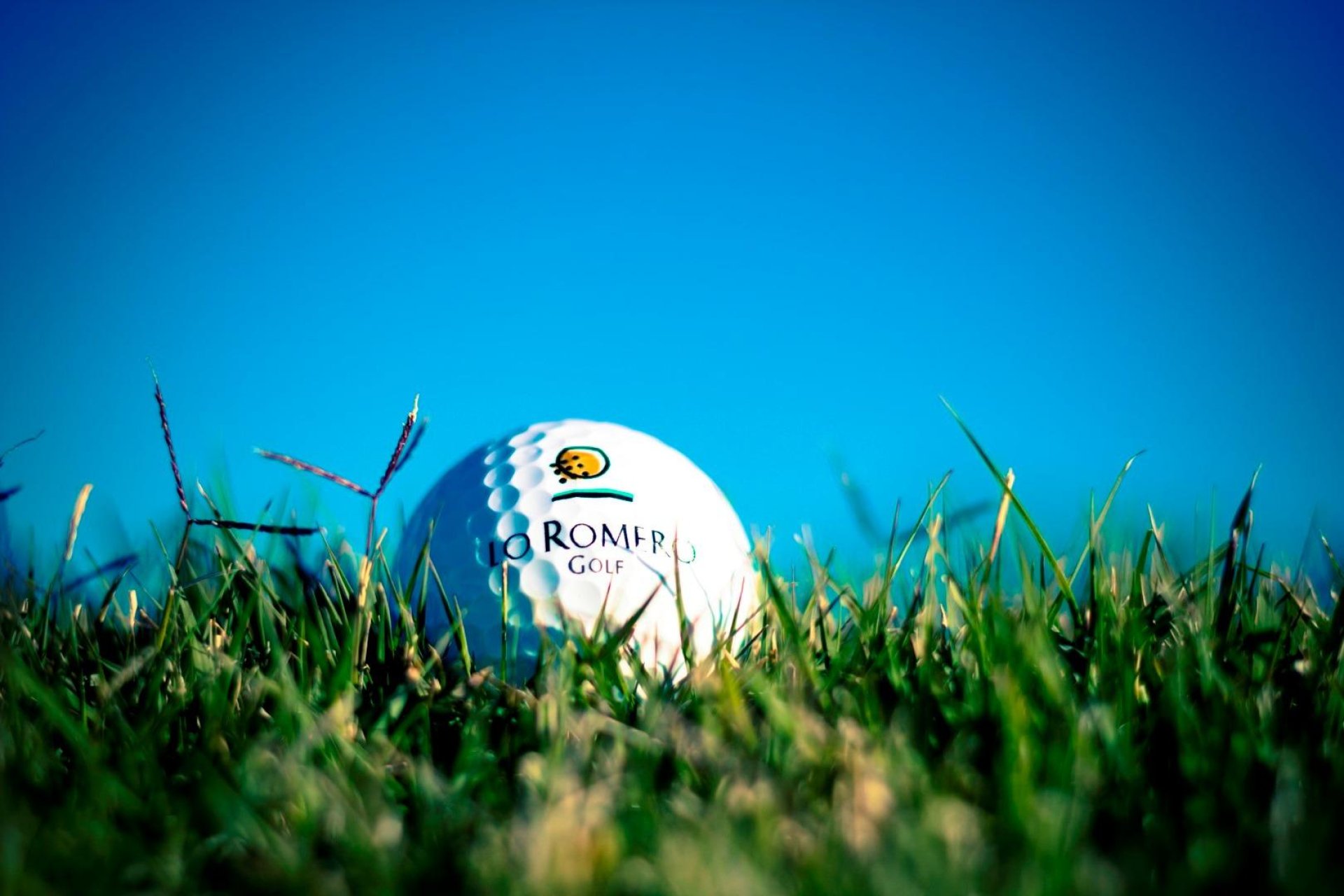 Rynek Pierwotny - Willa - Pilar de la Horadada