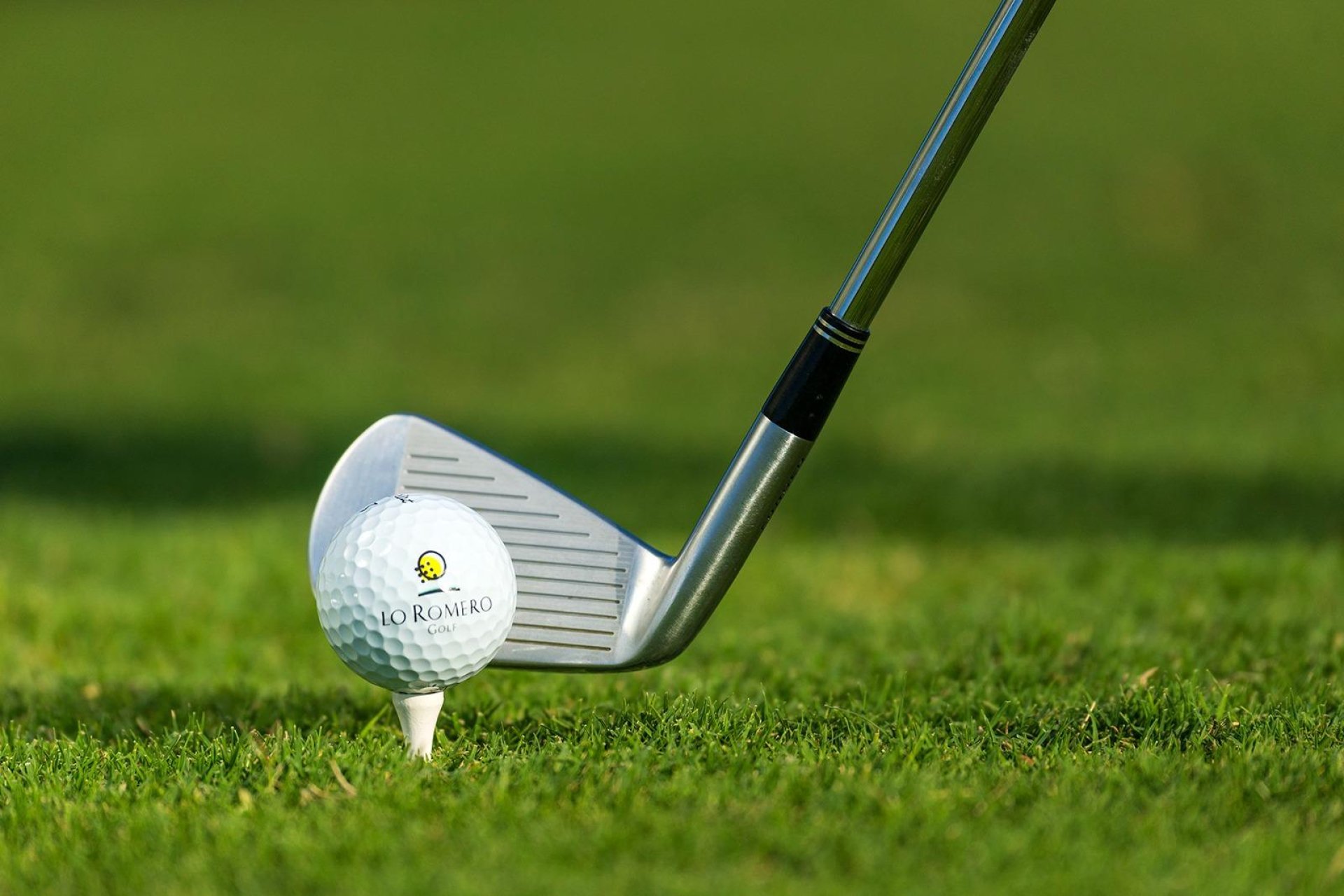 Rynek Pierwotny - Willa - Pilar de la Horadada