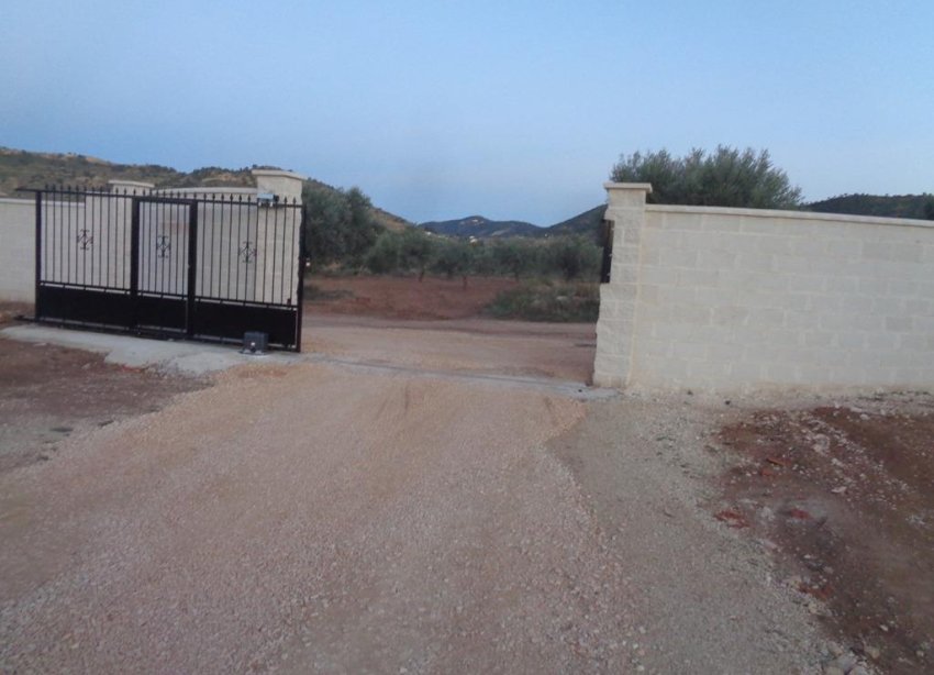 Rynek Pierwotny - Willa - Pinoso - Camino Del Prado