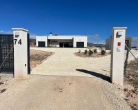 Rynek Pierwotny - Willa - Pinoso - Camino Del Prado