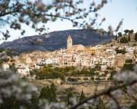 Rynek Pierwotny - Willa - Polop - Polop Hills