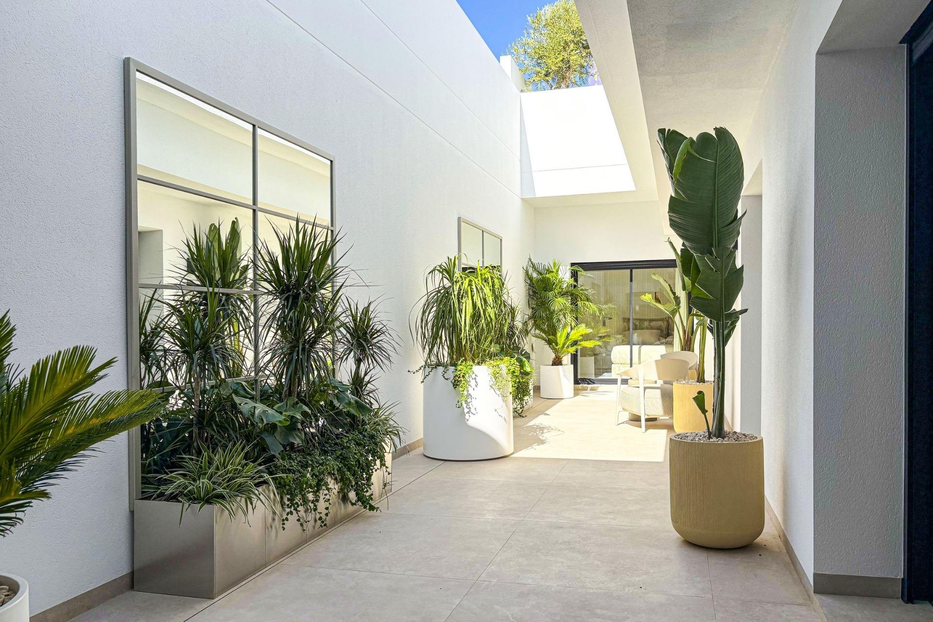 Rynek Pierwotny - Willa - Rojales - Ciudad Quesada