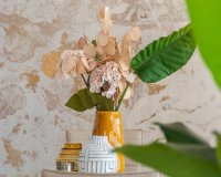 Rynek Pierwotny - Willa - Vera