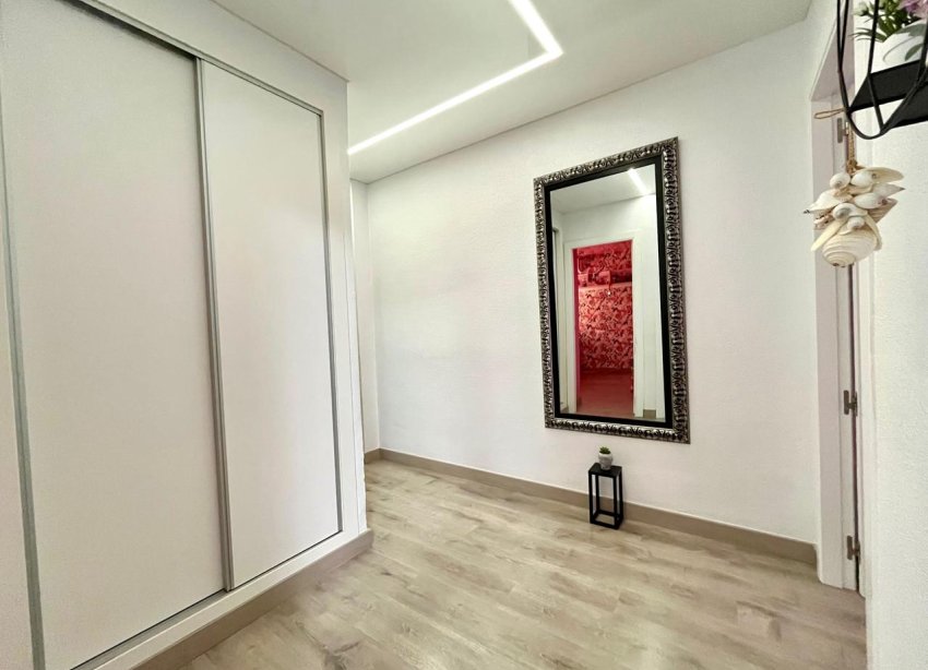 Rynek Wtórny - Apartament - ﻿Torrevieja (Alicante) - Torrevieja