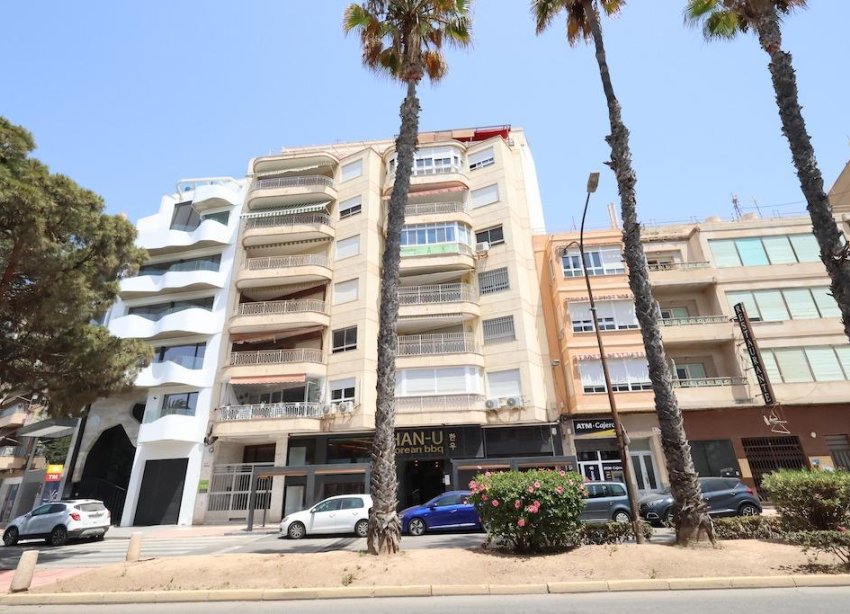 Rynek Wtórny - Apartament - ﻿Torrevieja (Alicante) - Torrevieja
