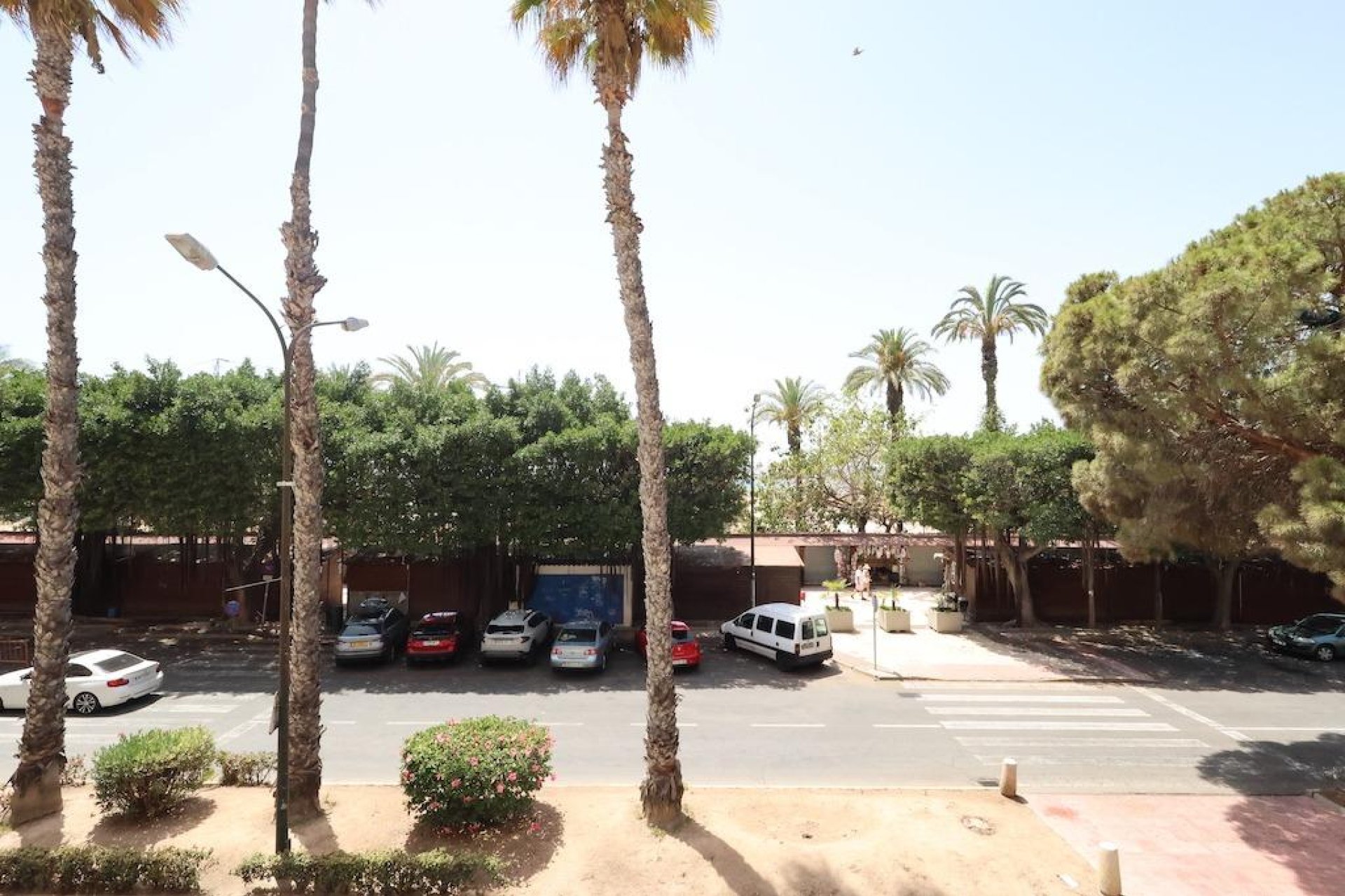 Rynek Wtórny - Apartament - ﻿Torrevieja (Alicante) - Torrevieja