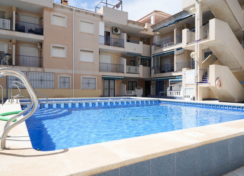 Rynek Wtórny - Apartament - ﻿Torrevieja (Alicante) - Torrevieja