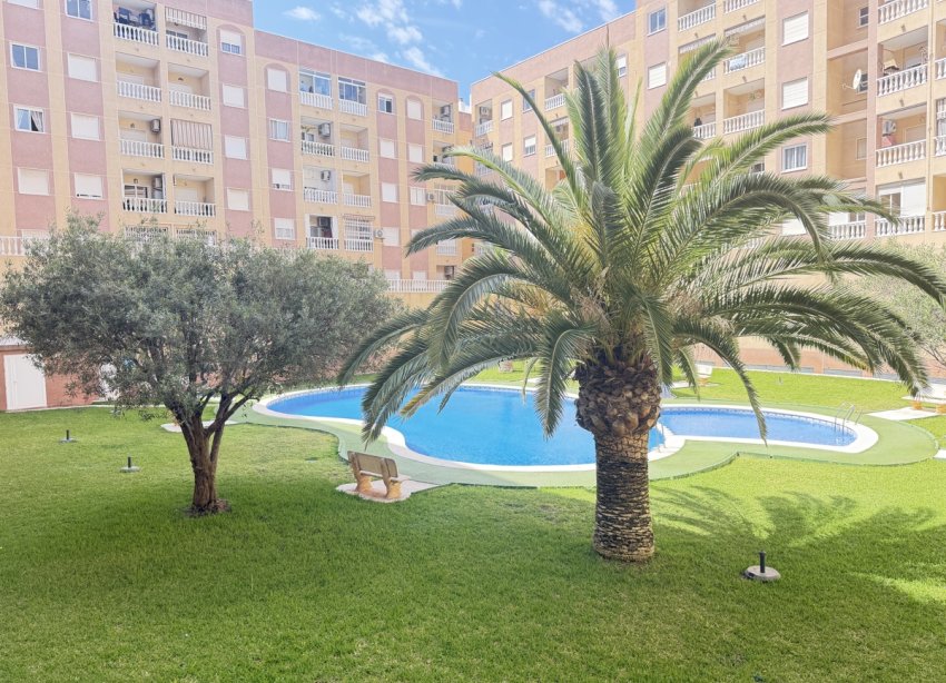 Rynek Wtórny - Apartament - ﻿Torrevieja (Alicante) - Torrevieja