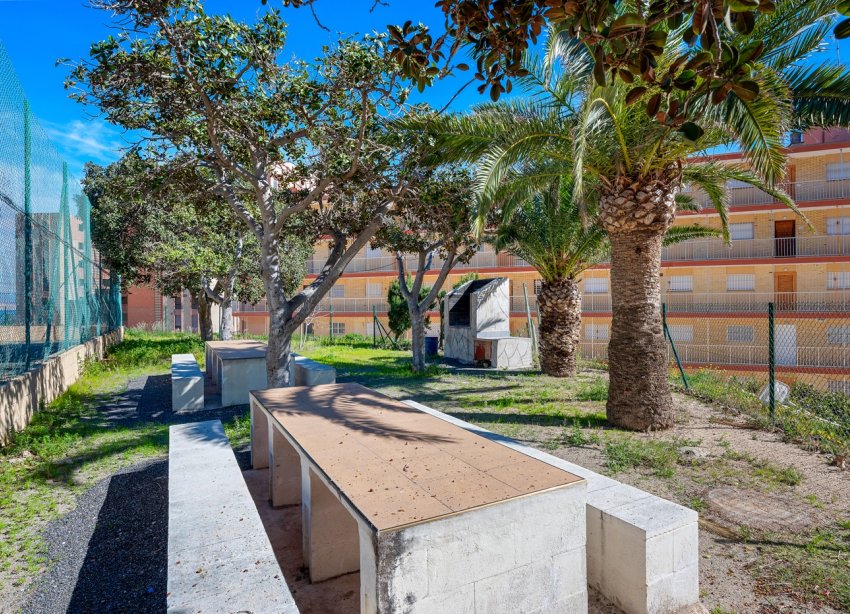 Rynek Wtórny - Apartament - Arenales del Sol - Segunda linea playa