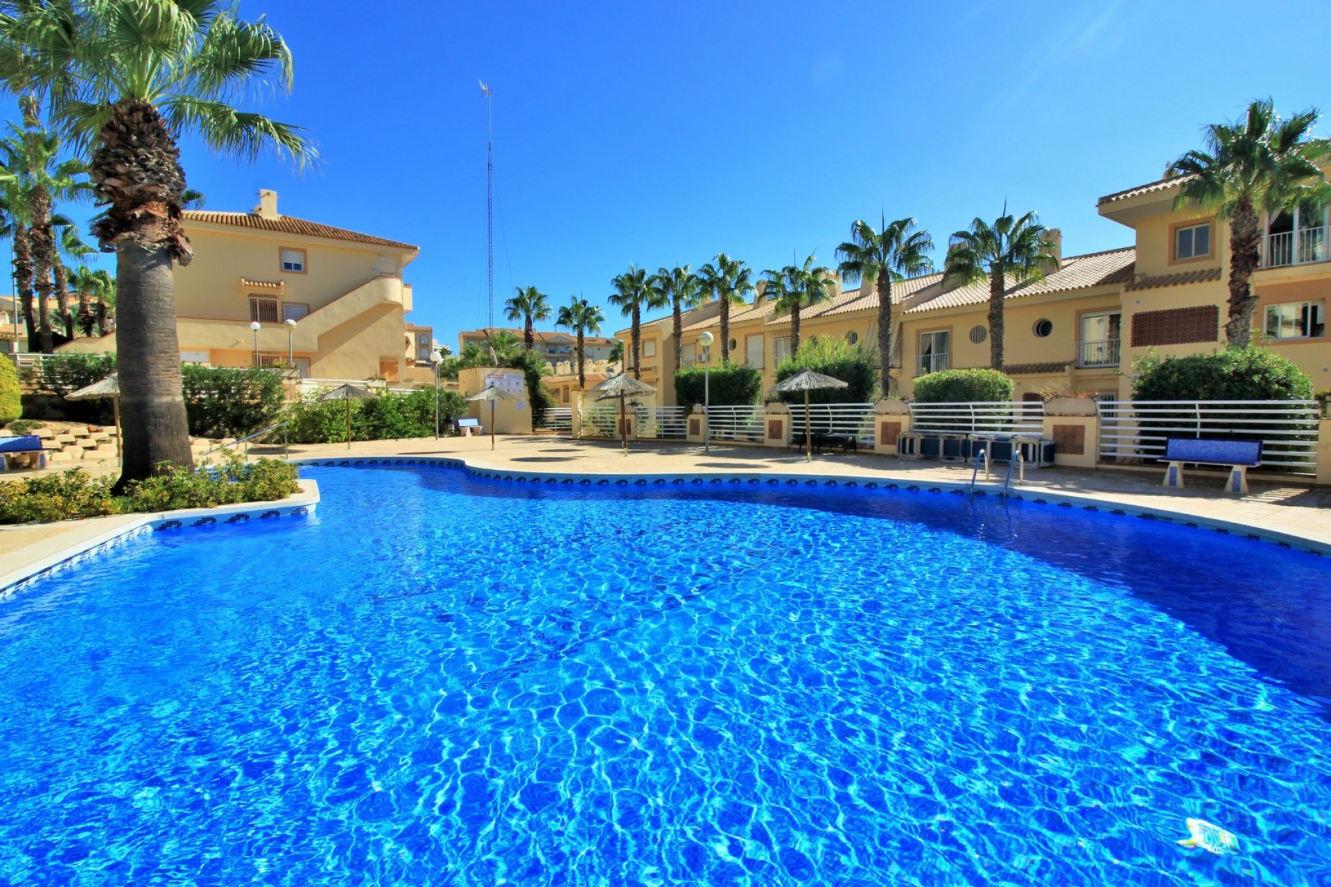 Rynek Wtórny - Apartament - Cabo Roig