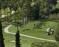 Rynek Wtórny - Apartament - CAMPOAMOR GOLF