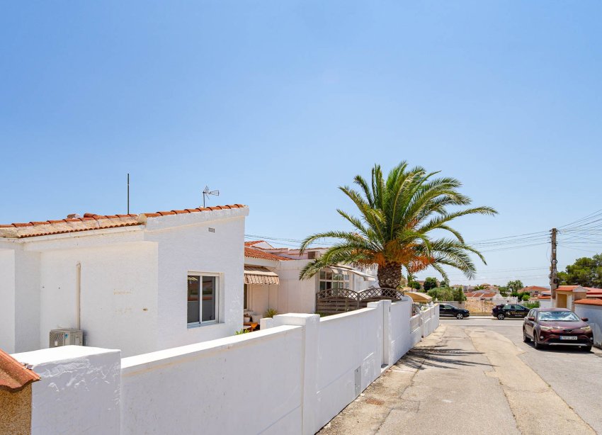 Rynek Wtórny - Apartament - Ciudad Quesada - Cuidad Quesada