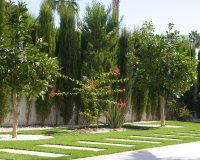 Rynek Wtórny - Apartament / Duplex - Ciudad Quesada - Doña Pena