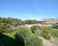 Rynek Wtórny - Apartament / Duplex - Guardamar del Segura - CERVANTES-PLAYA