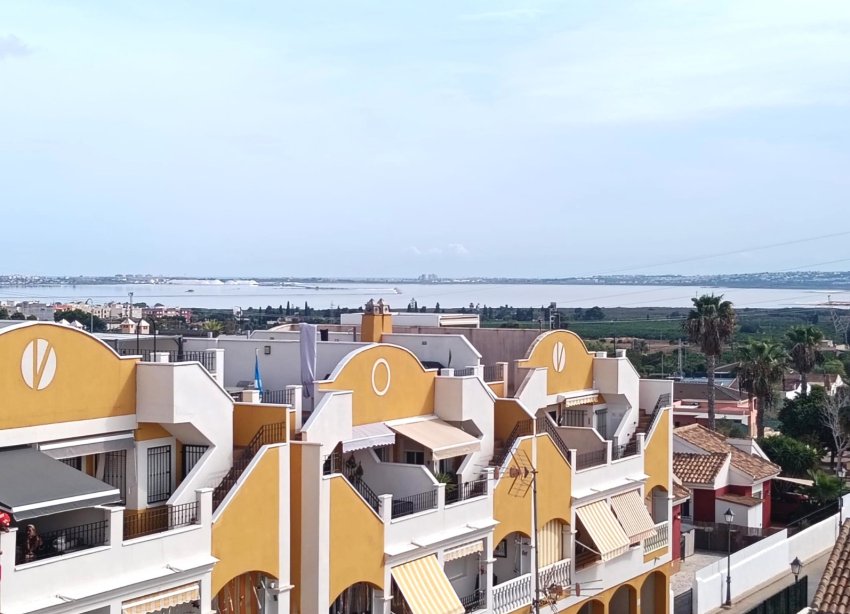 Rynek Wtórny - Apartament / Duplex - Los Montesinos - Urbanizacion montesol