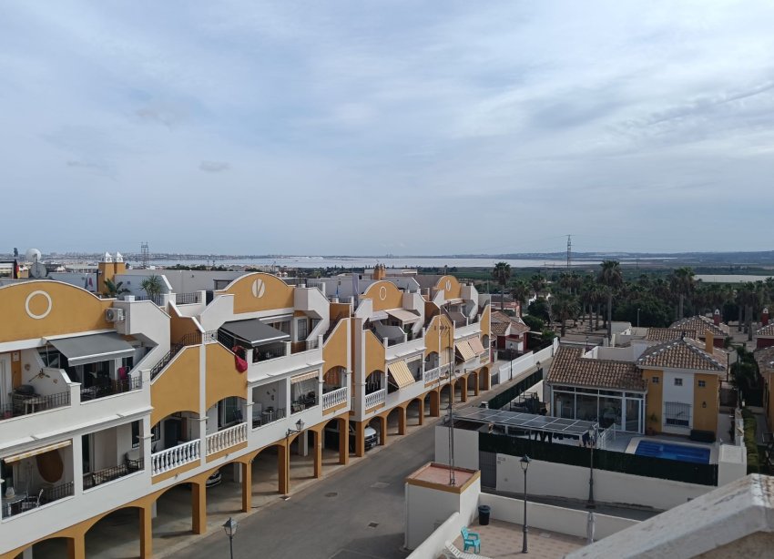 Rynek Wtórny - Apartament / Duplex - Los Montesinos - Urbanizacion montesol