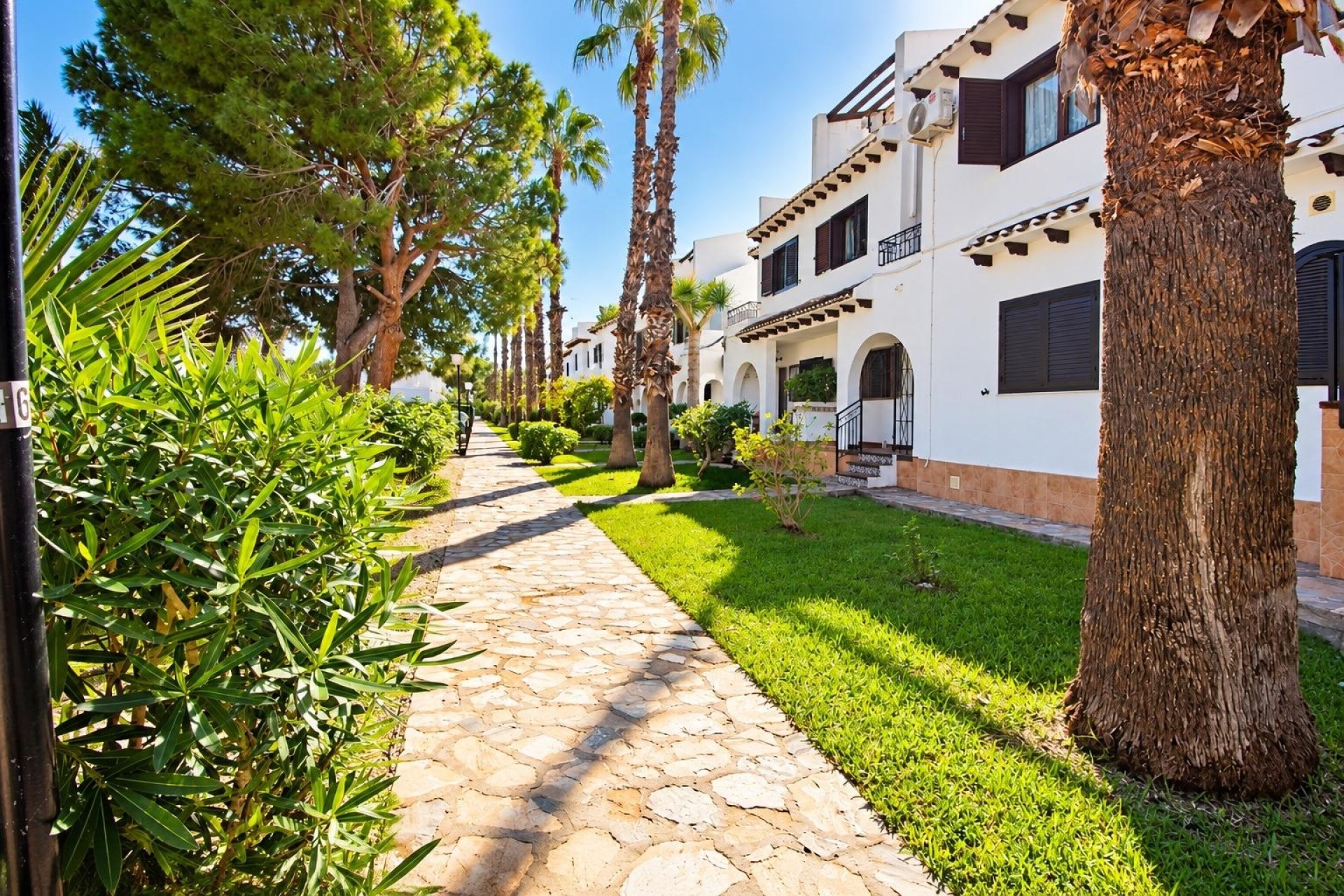 Rynek Wtórny - Apartament / Duplex - Orihuela Costa - Cabo Roig