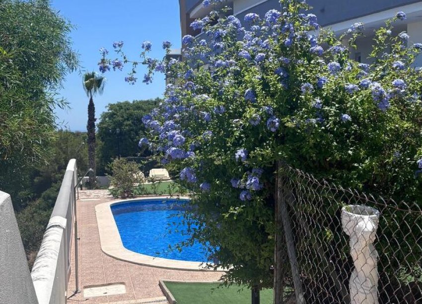 Rynek Wtórny - Apartament / Duplex - Orihuela Costa - La Fuente