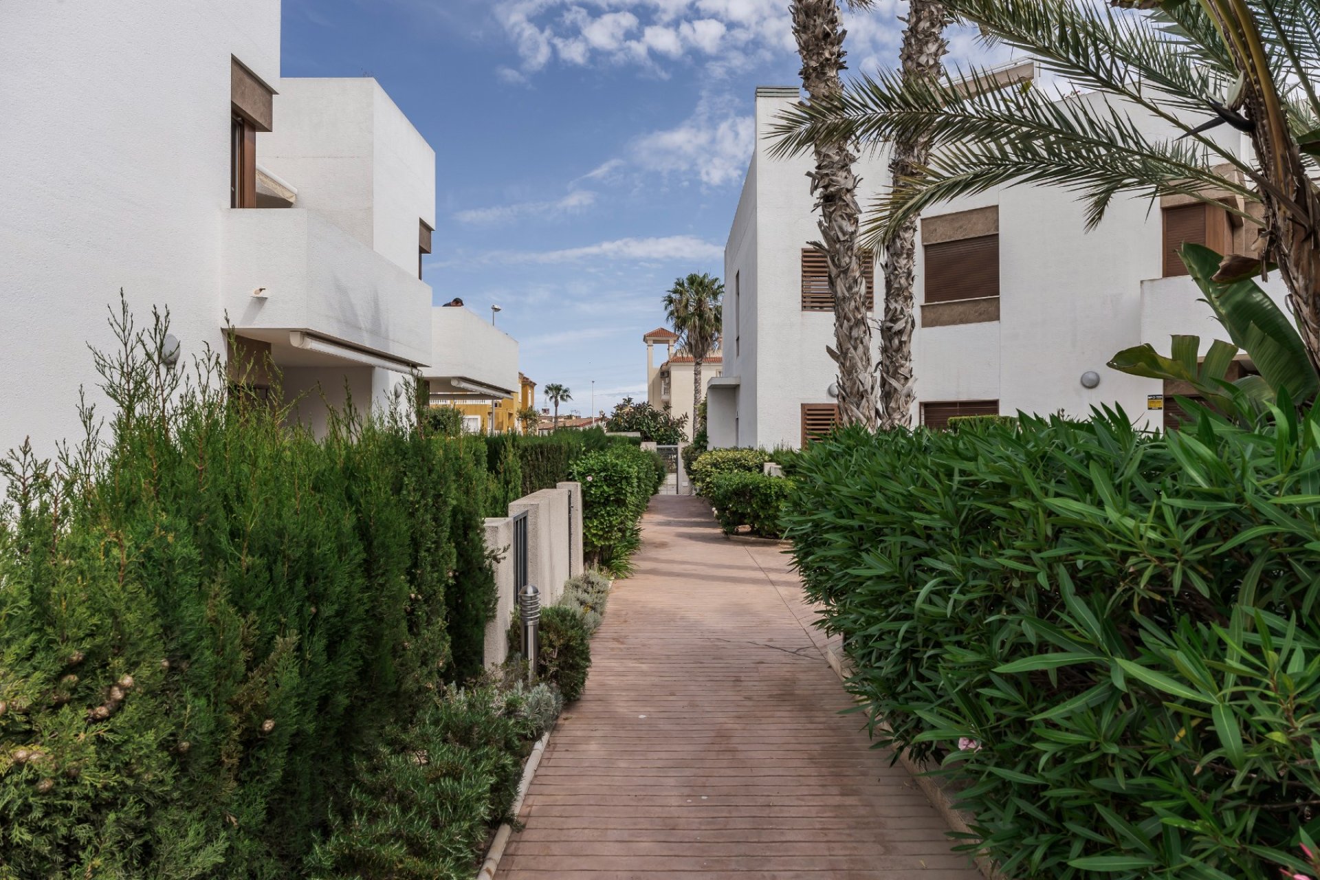Rynek Wtórny - Apartament / Duplex - Orihuela Costa - La Zenia