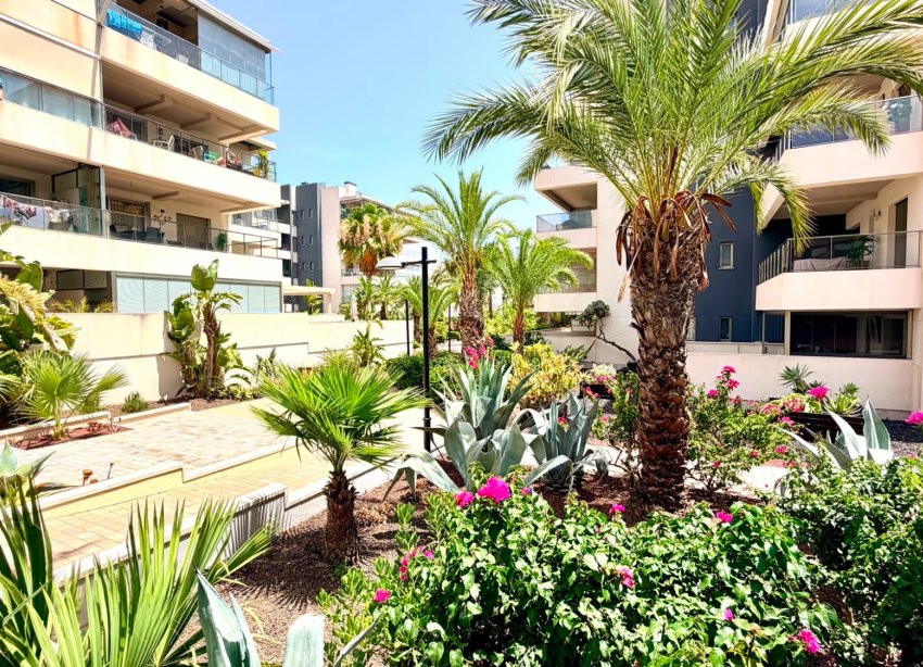 Rynek Wtórny - Apartament / Duplex - Orihuela Costa - La Zenia