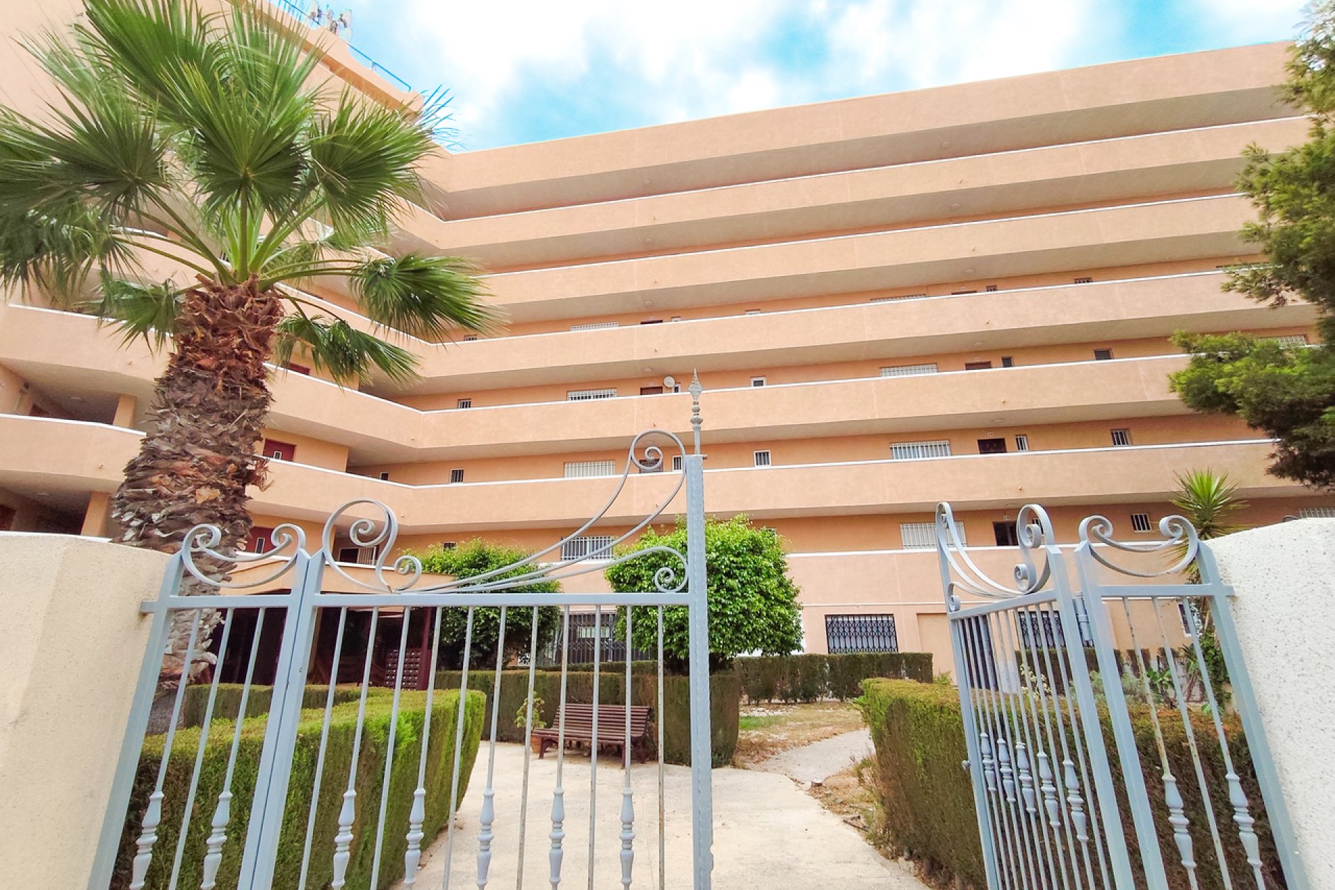 Rynek Wtórny - Apartament / Duplex - Orihuela Costa - La Zenia