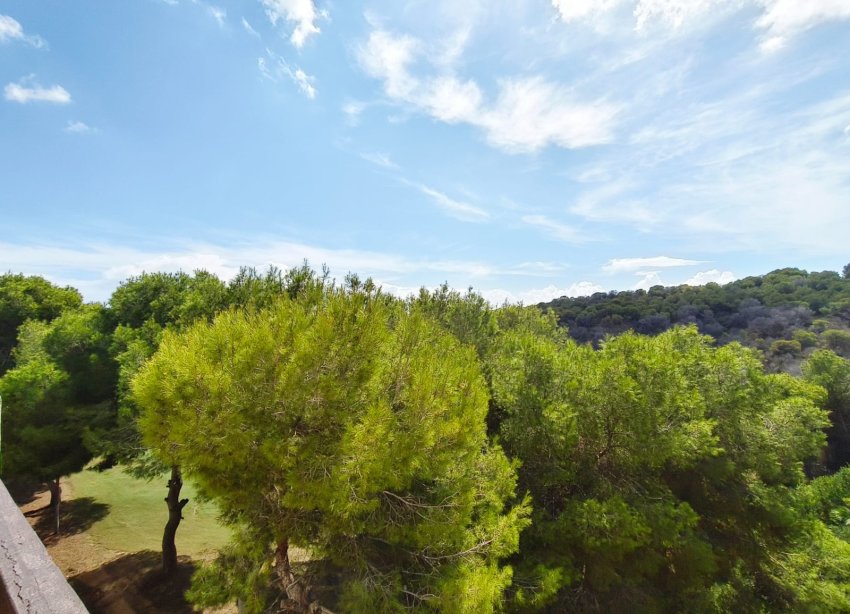 Rynek Wtórny - Apartament / Duplex - Orihuela Costa - Las Ramblas Golf