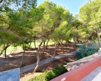 Rynek Wtórny - Apartament / Duplex - Orihuela Costa - Las Ramblas Golf