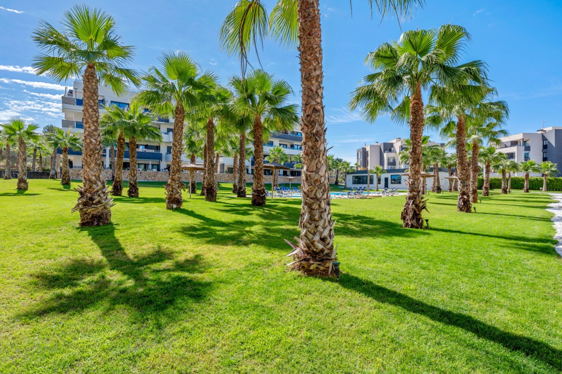 Rynek Wtórny - Apartament / Duplex - Orihuela Costa - Los Altos
