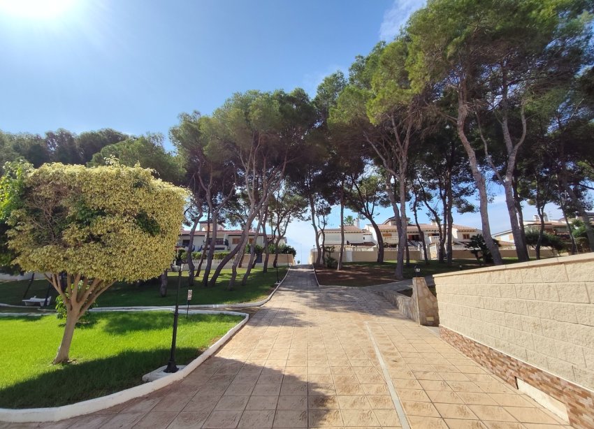 Rynek Wtórny - Apartament / Duplex - Orihuela Costa - Mil Palmeras