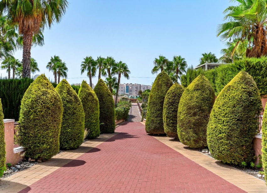 Rynek Wtórny - Apartament / Duplex - Orihuela Costa - Playa Flamenca