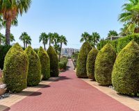 Rynek Wtórny - Apartament / Duplex - Orihuela Costa - Playa Flamenca