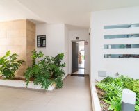 Rynek Wtórny - Apartament / Duplex - Orihuela Costa - Playa Flamenca