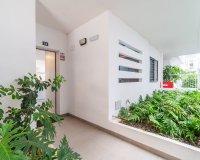 Rynek Wtórny - Apartament / Duplex - Orihuela Costa - Playa Flamenca